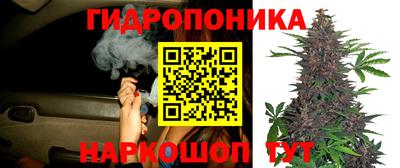 герыч Пушкино
