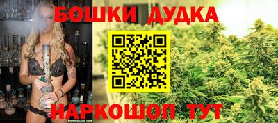 стафф Пенза