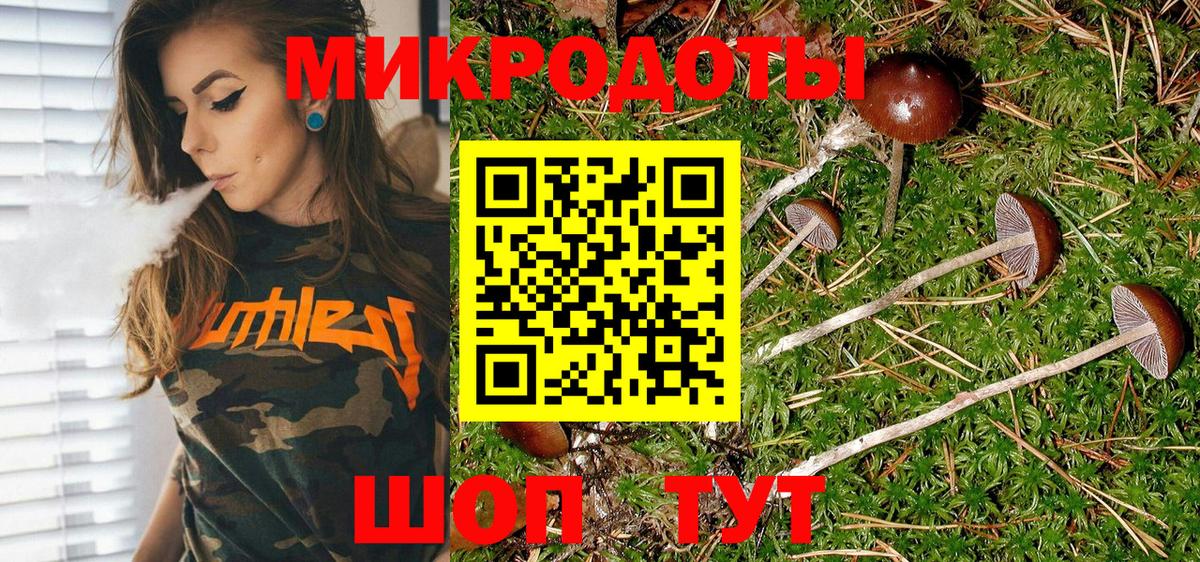 цены   Галлюциногенные грибы Cubensis  Вход с VPN  Новокубанск 